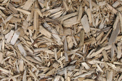 biomass boilers Gretton